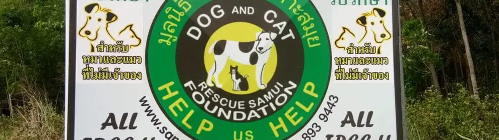 Dog And Cat Rescue Samui Foundation